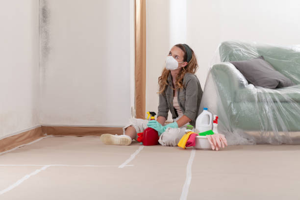 Reliable Black Mold Removal contractor in Asbury Park, NJ by WQB Mold Removal